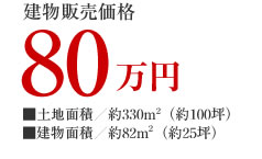 �̔����i390���~